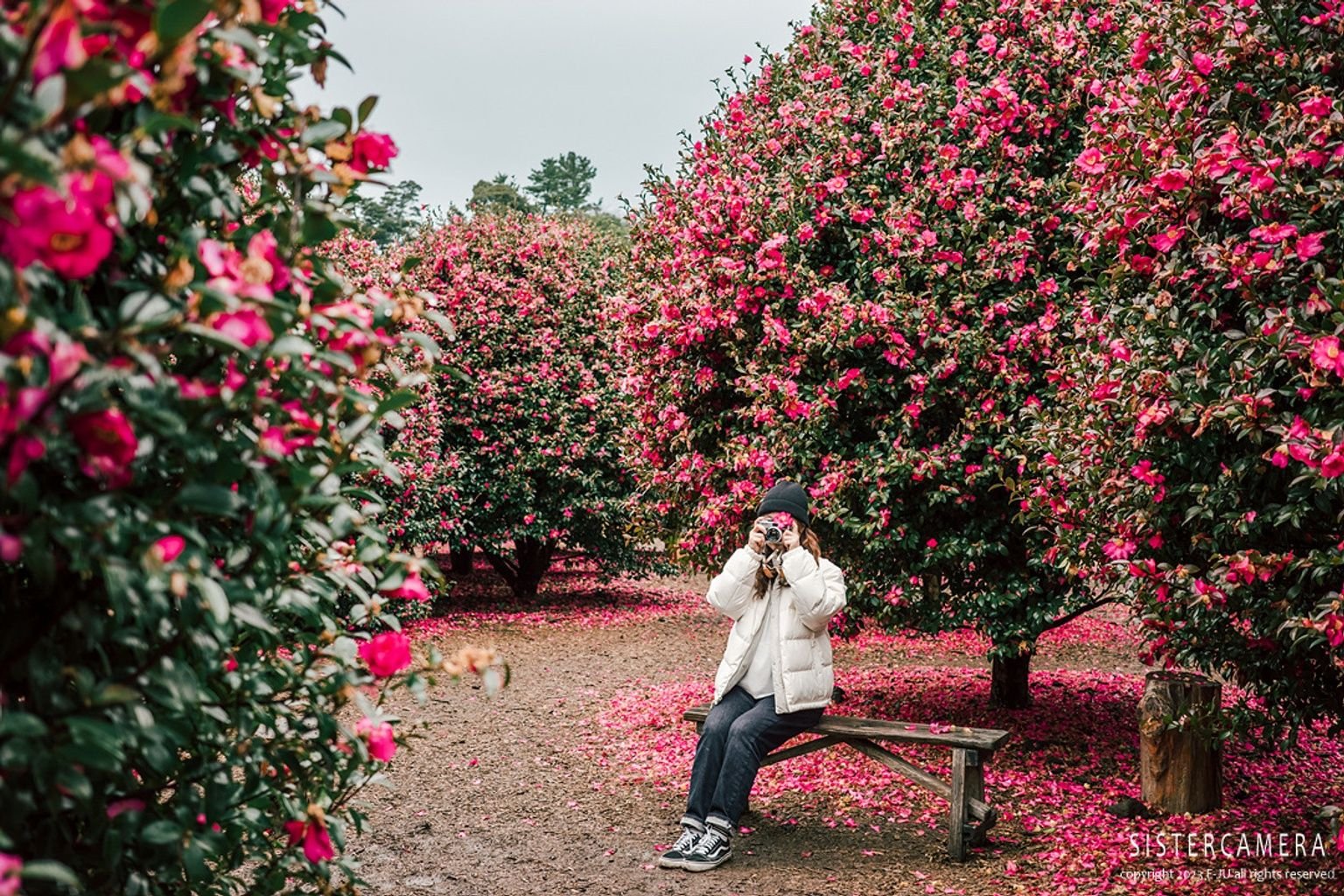 🏞️ 씨 뿌리는 곤베에 마을 (타네마키 곤베에노 사토) 이미지 1